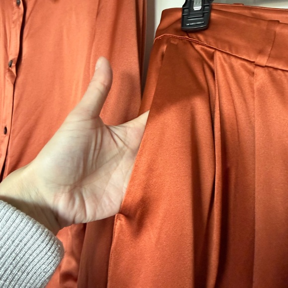 Banana Republic 100% Silk Terracotta Belay Wide-Leg Pants and Button Down - Picture 8 of 15